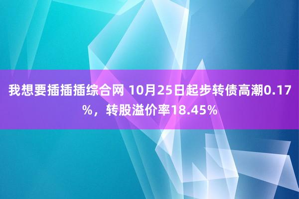 我想要插插插综合网 10月25日起步转债高潮0.17%，转股溢价率18.45%