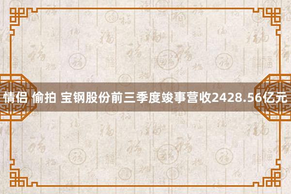 情侣 偷拍 宝钢股份前三季度竣事营收2428.56亿元