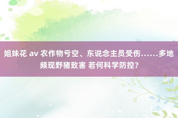 姐妹花 av 农作物亏空、东说念主员受伤……多地频现野猪致害 若何科学防控？