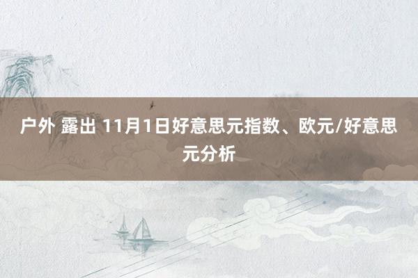 户外 露出 11月1日好意思元指数、欧元/好意思元分析