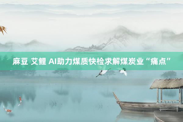 麻豆 艾鲤 AI助力煤质快检求解煤炭业“痛点”