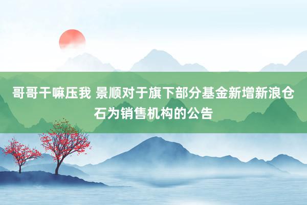 哥哥干嘛压我 景顺对于旗下部分基金新增新浪仓石为销售机构的公告