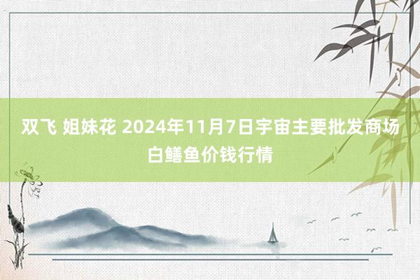 双飞 姐妹花 2024年11月7日宇宙主要批发商场白鳝鱼价钱行情