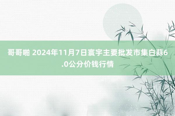 哥哥啪 2024年11月7日寰宇主要批发市集白蒜6.0公分价钱行情