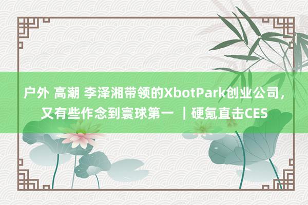 户外 高潮 李泽湘带领的XbotPark创业公司，又有些作念到寰球第一 ｜硬氪直击CES