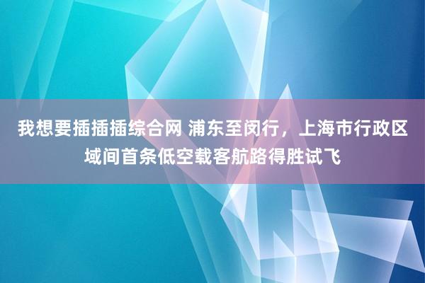 我想要插插插综合网 浦东至闵行，上海市行政区域间首条低空载客航路得胜试飞