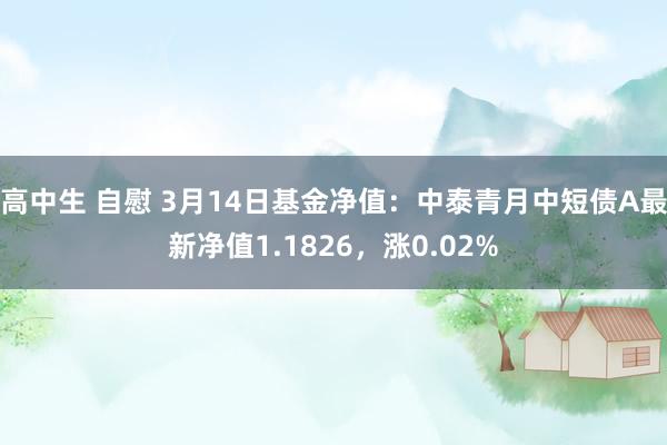 高中生 自慰 3月14日基金净值：中泰青月中短债A最新净值1.1826，涨0.02%