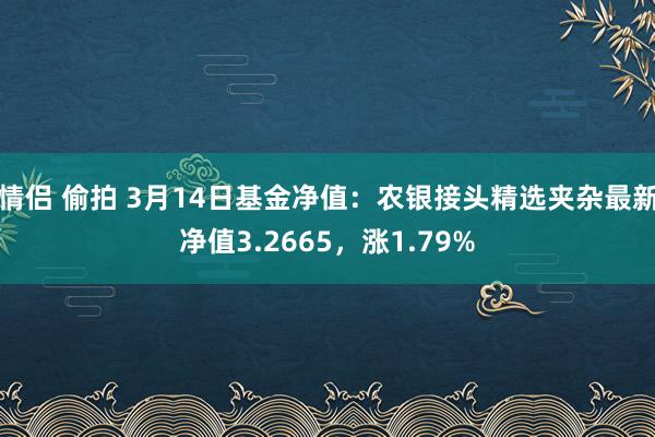 情侣 偷拍 3月14日基金净值：农银接头精选夹杂最新净值3.2665，涨1.79%