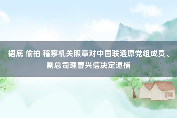 裙底 偷拍 稽察机关照章对中国联通原党组成员、副总司理曹兴信决定逮捕